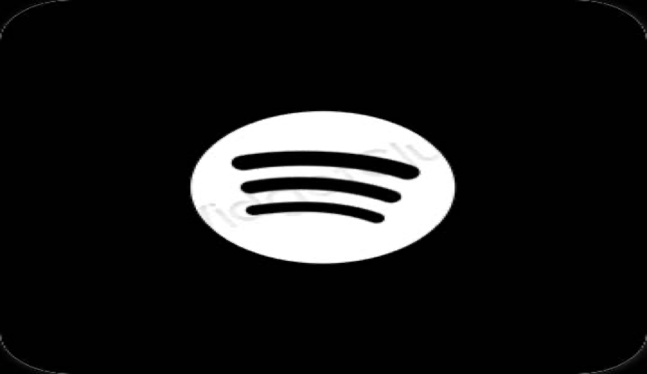 Spotify Aesthetic Icon