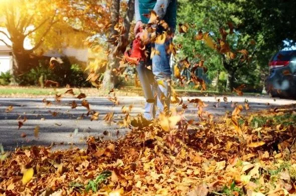 Cordless Leaf Blower