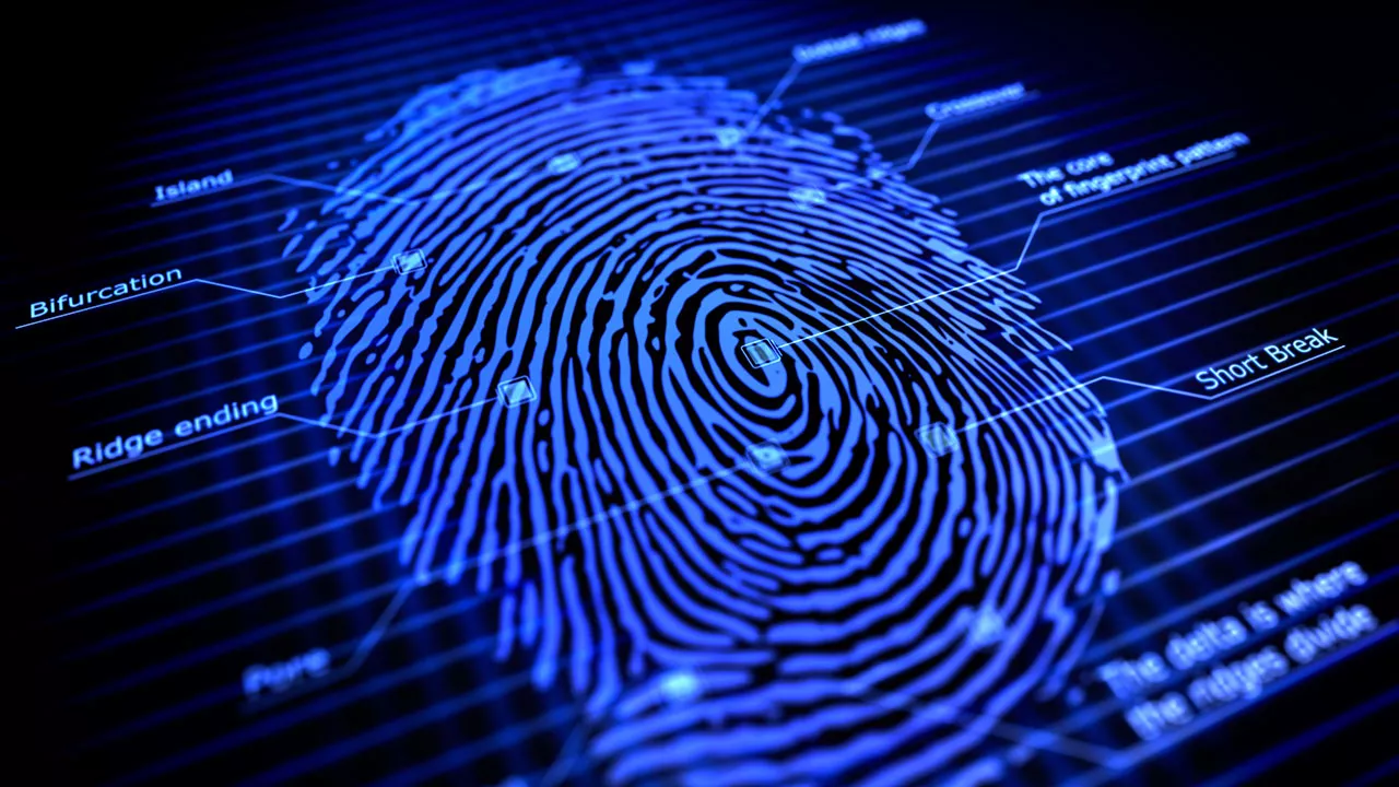Fingerprint background